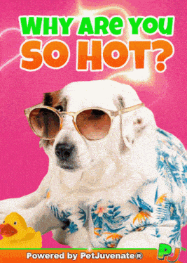 Hot Hot Stuff GIF