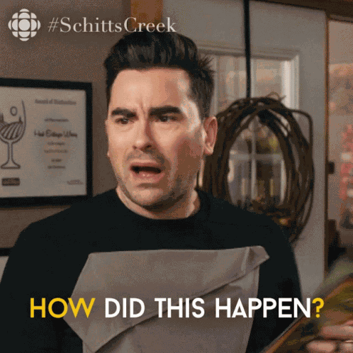 How Did This Happen David Rose GIF