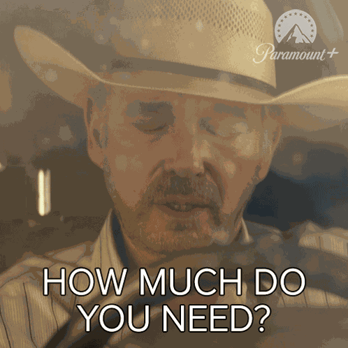 How Much Do You Need Tommy Norris GIF