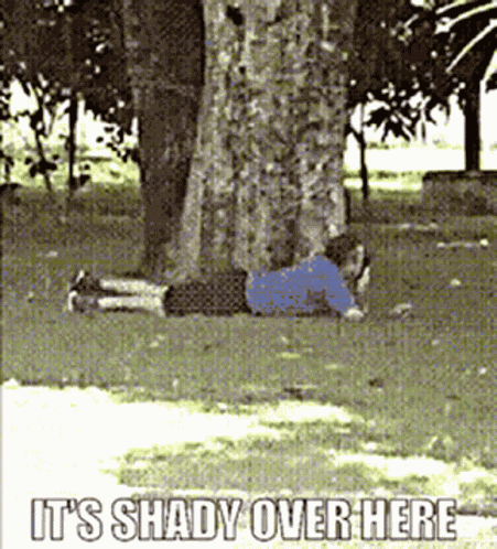 How Shady Throwing Shade GIF