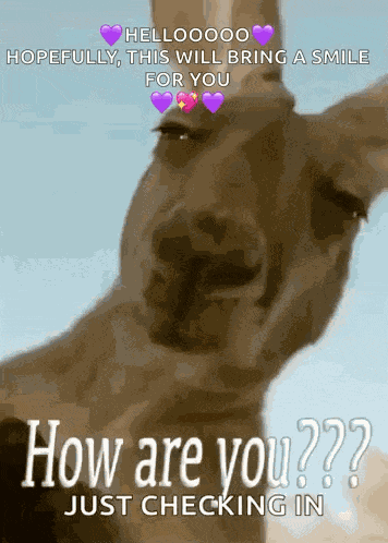 Howareyou Sup GIF