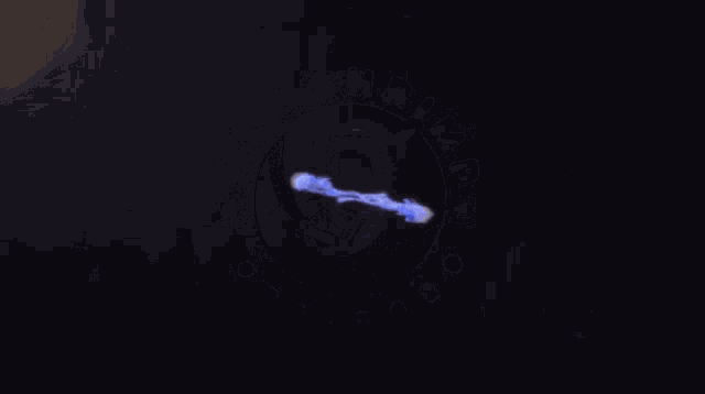 Htxshrimp Freshwater GIF