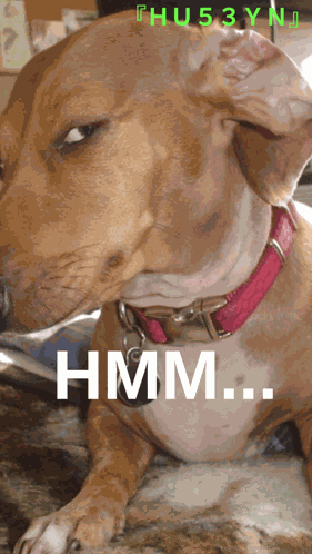 Hu53yn Huseynyazar GIF