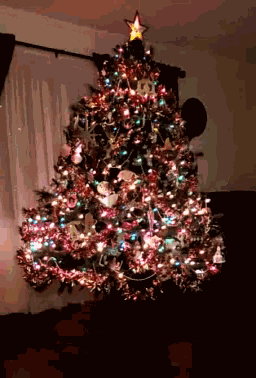 Hubbard Christmas Tree GIF