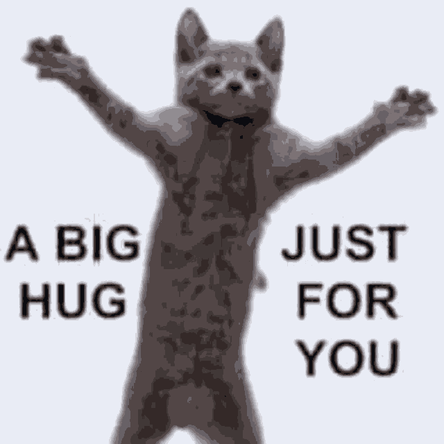 Hug Cat Love Meme