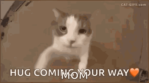 Hug Love GIF