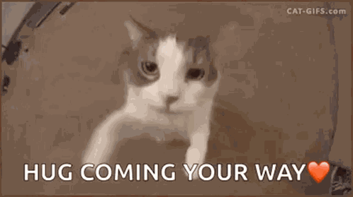 Hug Love GIF