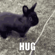 Hug Me Hug Me Now GIF