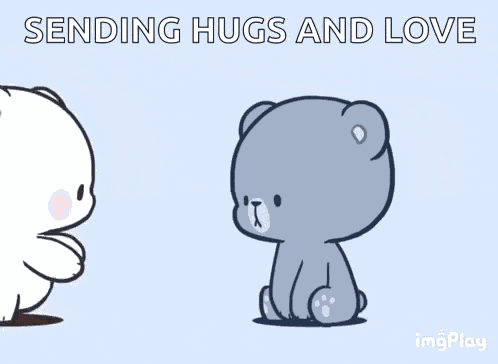 Hug Warm Hug GIF