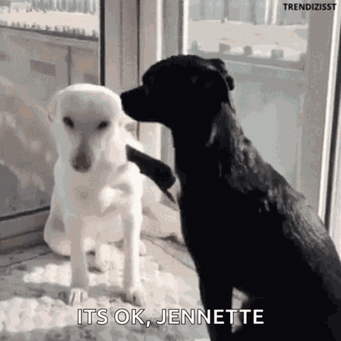 Huge Hug Bromance GIF