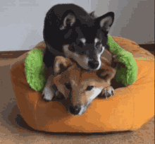 Hugs Snuggles GIF