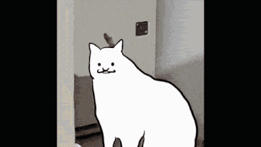 Huh Cat GIF