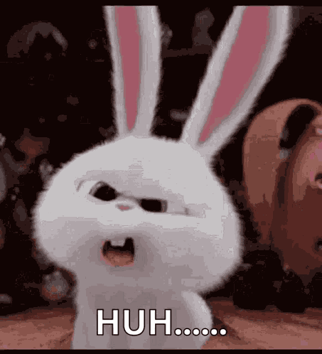 Huh GIF