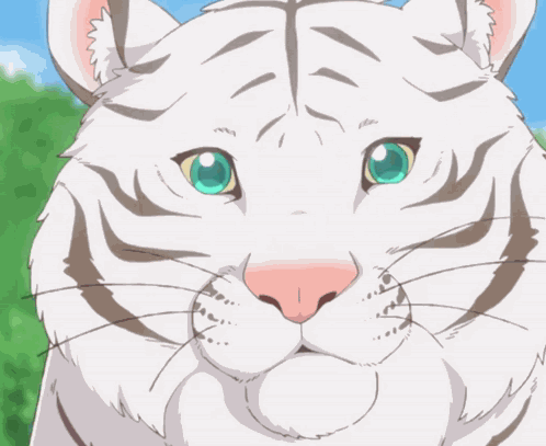 Huh Huh Cat GIF