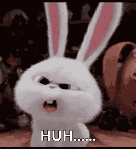 Huh Rabbit GIF
