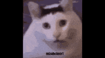 Huhcat Mizahcimtr1 GIF