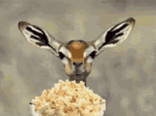 Hum Diga Me Mais GIF