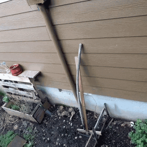 Hummingbird Camera GIF