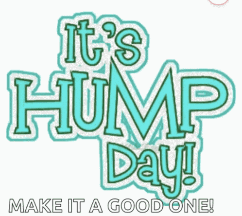 Hump Day Gif Funny Meme