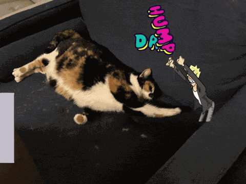 Hump Day Happy Hump Day GIF