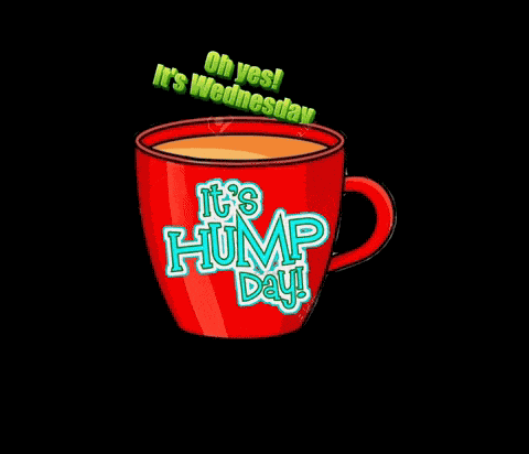Hump Day GIF