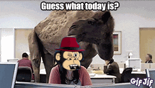 Hump Day Money Minded Apes GIF