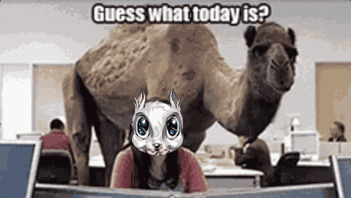 Hump Day Squirrel GIF
