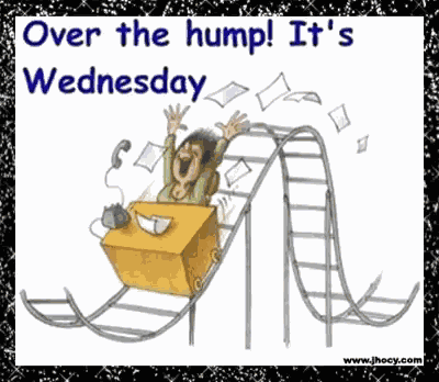 Hump Day Wednesday GIF
