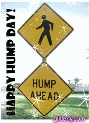 Hump Day Wednesday GIF