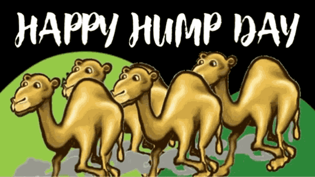 Hump Day GIF