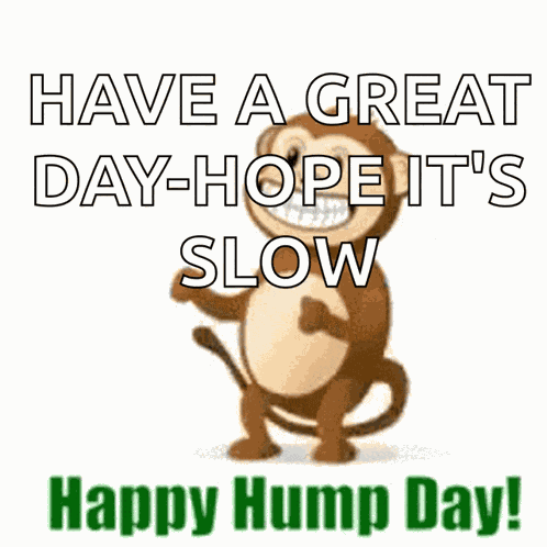 Humpday Monkey GIF