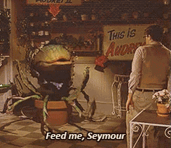 Hungry Feed GIF