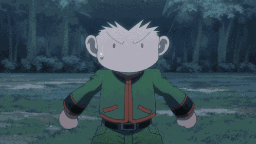 Hunter X Hunter Hxh GIF