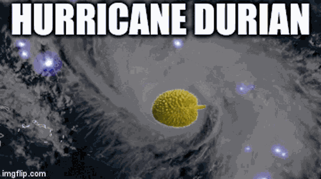 Hurricane Dorian Durian GIF