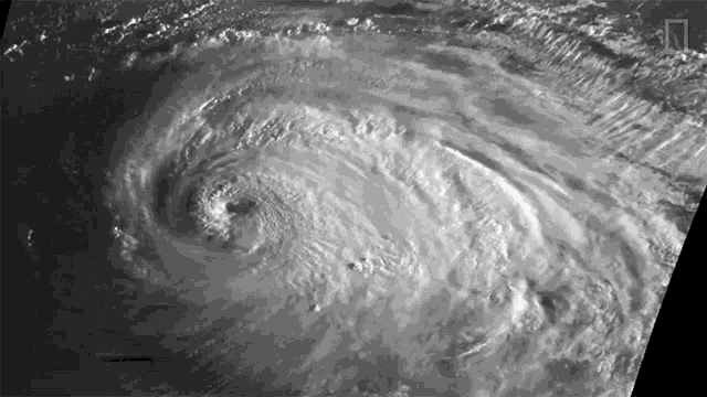 Hurricane Luis World Meteorological Day GIF