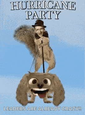 Hurricane Party Hurricane Michael GIF