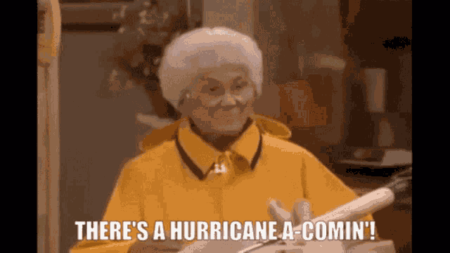 Hurricane Rainy GIF