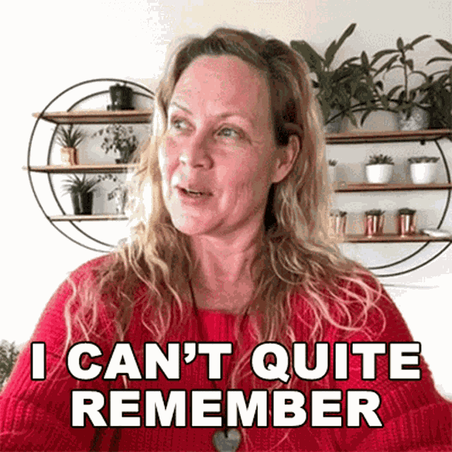 I Cant Quite Remember How Long Ago It Was Sarah Mcleod GIF