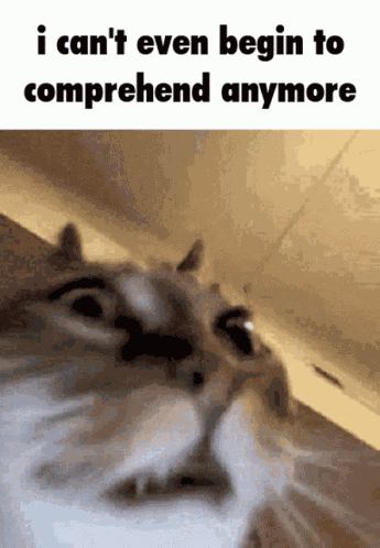 I Cant Take It Anymore Im Going Insane GIF