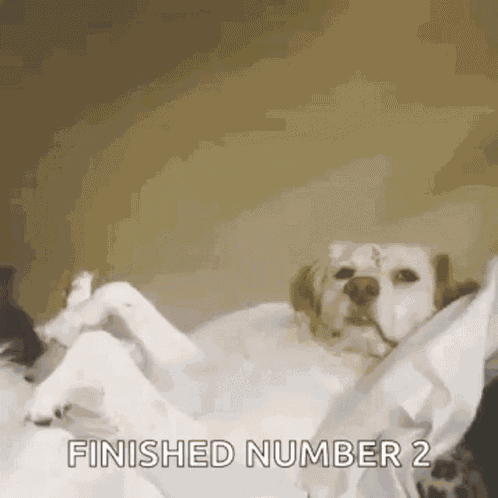 I Did It Raise Paw GIF