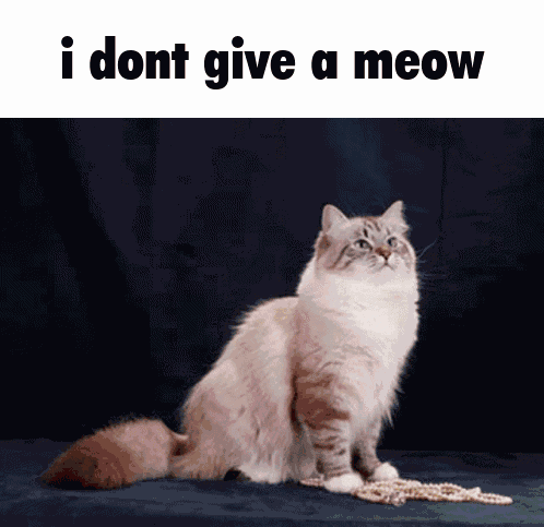 I Dont Give A Meow I Dont Care GIF