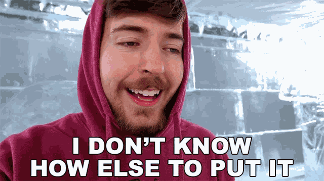 I Dont Know How Else To Put It Mr Beast GIF