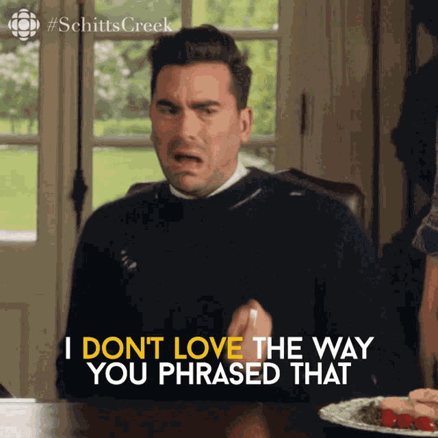 I Dont Love The Way You Phrased That David Rose GIF