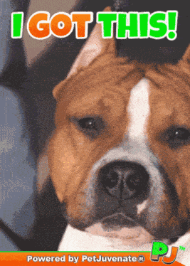 I Got This I Can Help GIF