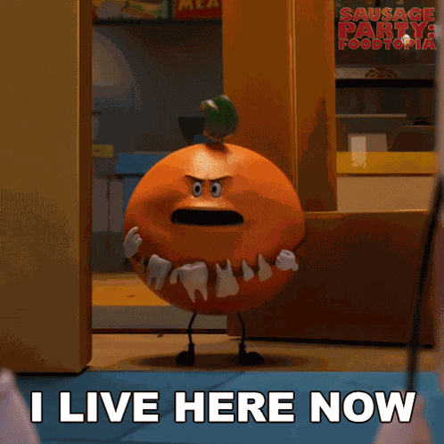I Live Here Now Orange GIF