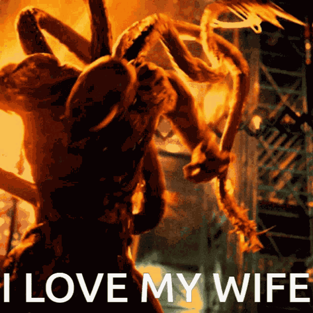 I Love My Wife Venom GIF