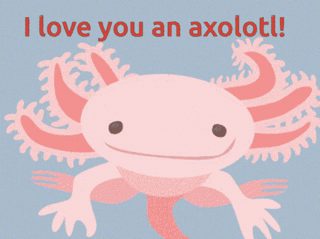 I Love You An Axolotl Axolotl GIF