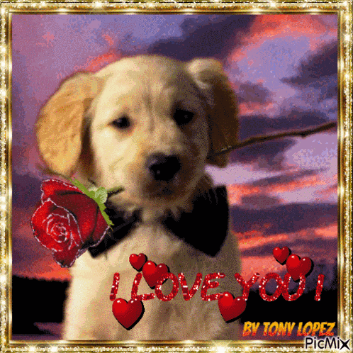 I Love You Baby Girl GIF