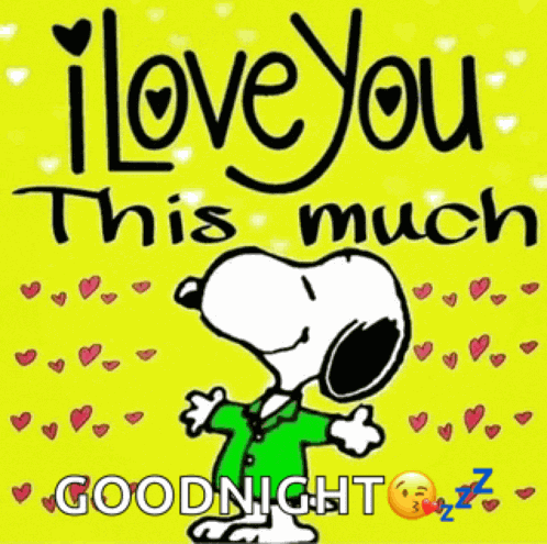 I Love You I Love You So Much Meme