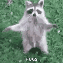I Love You GIF